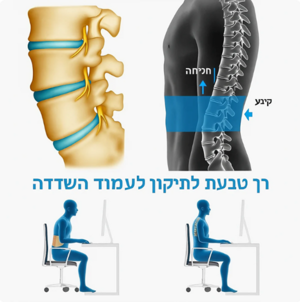 חגורת תמיכה למותן ComfortLift